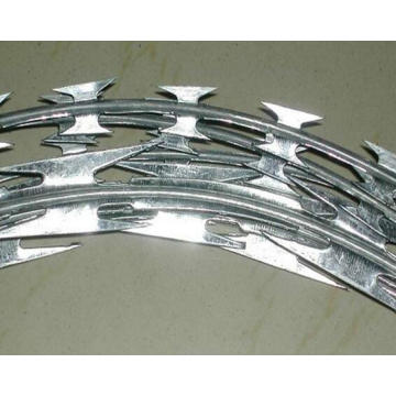 Directly Supply Razor Barbed Wire Made in China